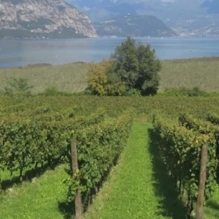 Seminterrato Sveva Franciacorta Apartamento *